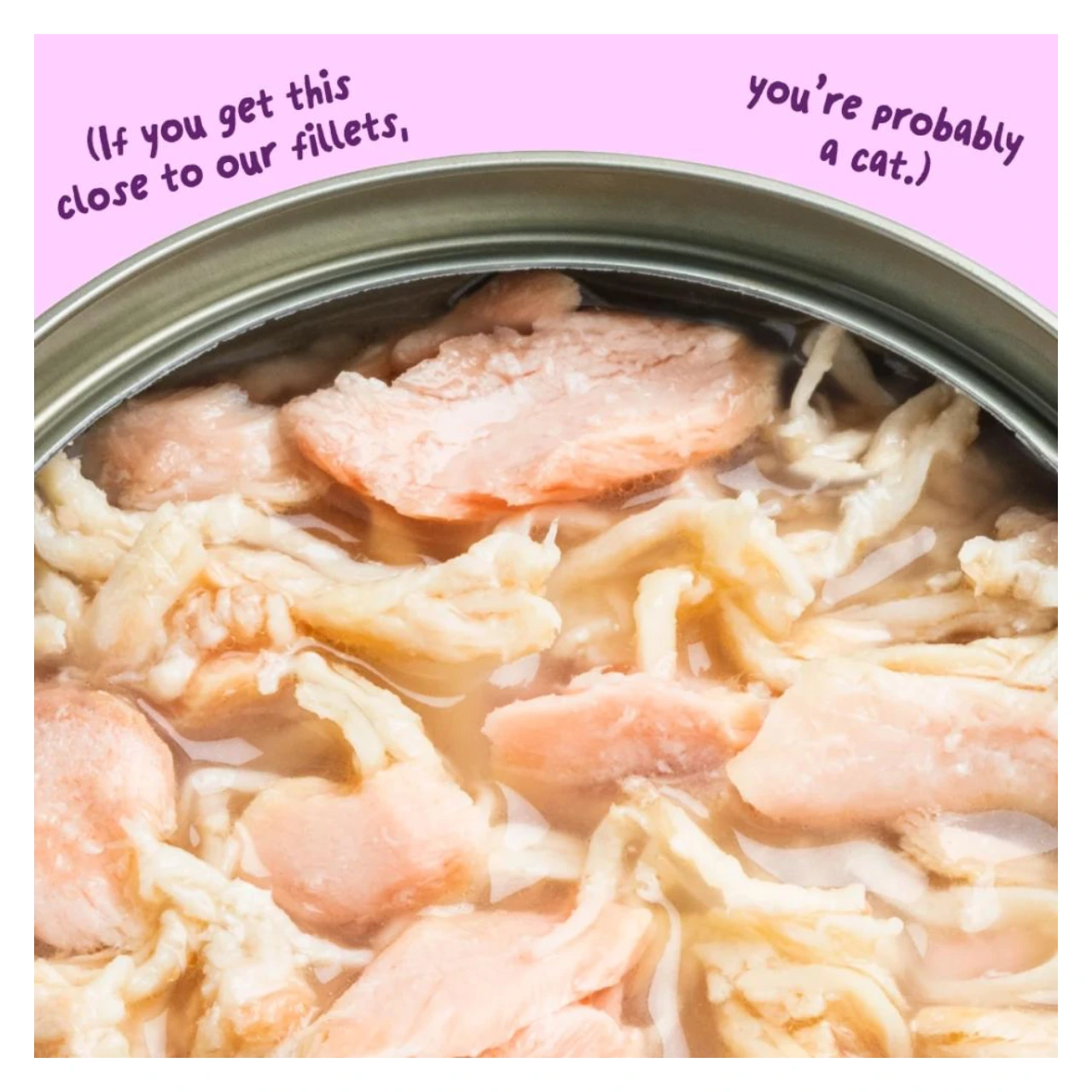 Edgard & Cooper kattefilet laks og kylling i bouillon 70 g